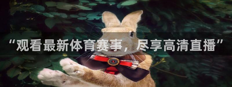 说球帝在线观看：“观看最新体育赛事，尽享高清直播”
