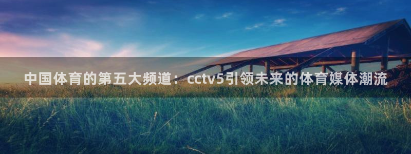 说球帝nba直播在线观看高清免费：中国体育的第五大频道：cctv5引领未来的体育媒体潮流