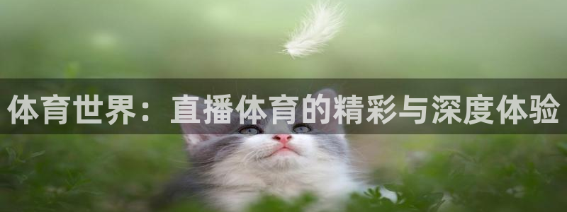nba在线直播说球帝：体育世界：直播体育的精彩与深度体验