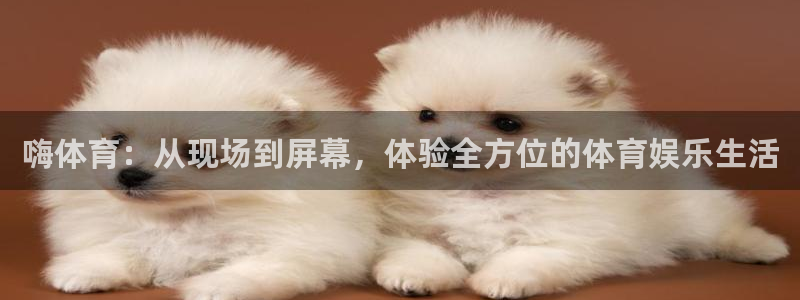说球帝在线观看nba免费直播：嗨体育：从现场到屏幕，体验全方位的体育娱乐生活
