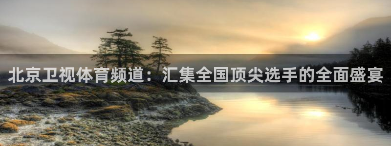 说球帝nba直播在线观看免费app：北京卫视体育频道：汇集全国顶尖选手的全面盛宴