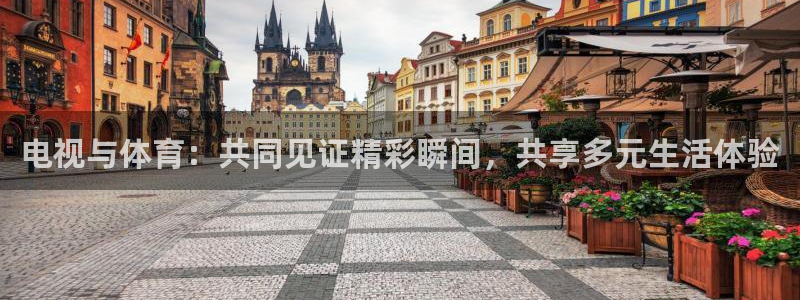 说球帝nba直播：电视与体育：共同见证精彩瞬间，共享多元生活体验