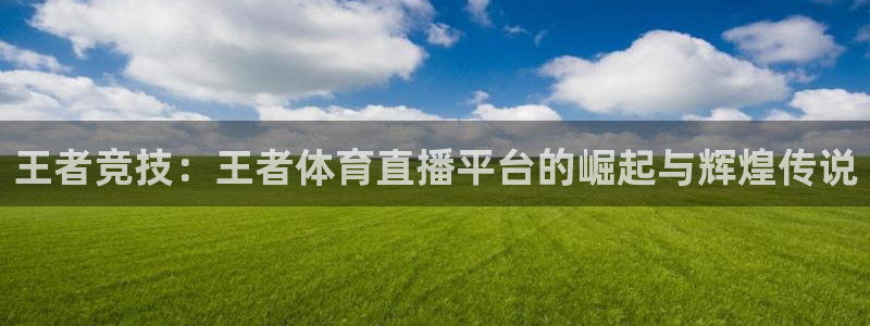 说球帝在线直播观看：王者竞技：王者体育直播平台的崛起与辉煌传说
