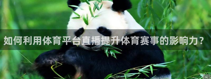 说球帝nba直播在线观看：如何利用体育平台直播提升体育赛事的影响力？