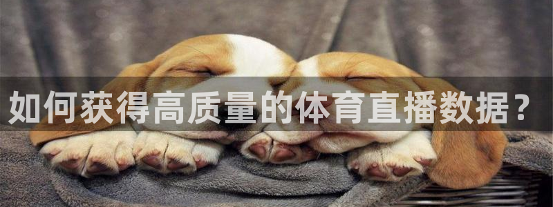说球帝直播在线观看：如何获得高质量的体育直播数据？
