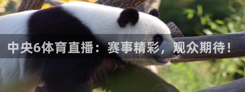 说球帝直播平台：中央6体育直播：赛事精彩，观众期待！