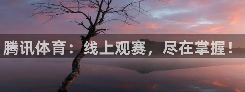 说球帝高清直播：腾讯体育：线上观赛，尽在掌握！