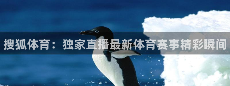 说球帝看球直播：搜狐体育：独家直播最新体育赛事精彩瞬间